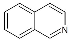 Isochinolina: precursore degli alcaloidi isochinolinici della guanabana