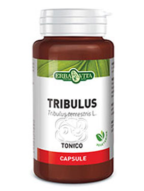Aggiungi Tribulus terrestris (45 Capsule da 500 mg) Erba Vita - Energetici, Rivitalizzanti, Antistress, Sesso, Erezione, Calo Desiderio, Fertilità, Massa Muscolare, Prestazioni Sessuali, Afrodisiaci al carrello